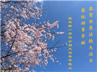 佳木斯大法弟子庆祝世界法轮大法日(20条)