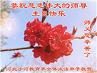 教育系统大法弟子庆祝世界法轮大法日(18条)