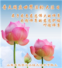 青岛大法弟子庆祝世界法轮大法日(21条)