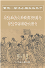 重庆大法弟子庆祝世界法轮大法日(20条)