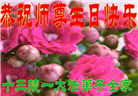 北京大法弟子庆祝世界法轮大法日(18条)