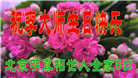 明真相世人庆祝世界法轮大法日(24条)