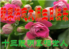 北京大法弟子庆祝世界法轮大法日(18条)