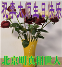 明真相世人庆祝世界法轮大法日(21条)