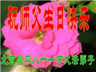 北京大法弟子庆祝世界法轮大法日(18条)