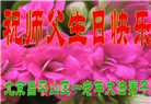 北京大法弟子庆祝世界法轮大法日(18条)