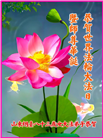 北京大法弟子庆祝世界法轮大法日(18条)