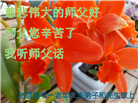 北京大法弟子庆祝世界法轮大法日(18条)