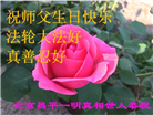 北京大法弟子庆祝世界法轮大法日(18条)