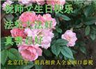 北京大法弟子庆祝世界法轮大法日(18条)