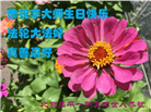 北京大法弟子庆祝世界法轮大法日(18条)