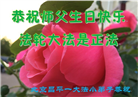 大法小弟子庆祝世界法轮大法日(23条)