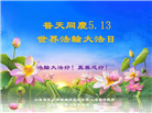 山东大法弟子庆祝世界法轮大法日(22条)