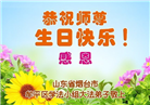 山东大法弟子庆祝世界法轮大法日(22条)