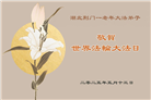 湖北大法弟子庆祝世界法轮大法日(22条)