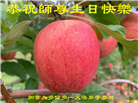 加拿大大法弟子庆祝世界法轮大法日