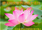 中国乡村大法弟子佳节圣日谢师恩