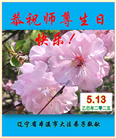 本溪大法弟子庆祝世界法轮大法日(20条)