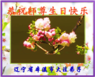 本溪大法弟子庆祝世界法轮大法日(20条)