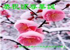 保定大法弟子庆祝世界法轮大法日(21条)