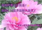 江苏大法弟子庆祝世界法轮大法日(20条)