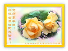 天津大法弟子庆祝世界法轮大法日(21条)