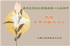 黑龙江大法弟子庆祝世界法轮大法日(18条)