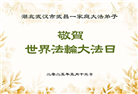 湖北大法弟子庆祝世界法轮大法日(19条)