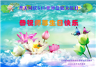 辽宁大法弟子庆祝世界法轮大法日(21条)