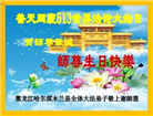 哈尔滨大法弟子庆祝世界法轮大法日(22条)