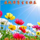 乡村大法弟子庆祝世界法轮大法日(22条)