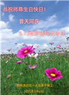 江苏大法弟子庆祝世界法轮大法日(20条)