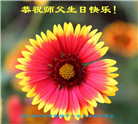 沈阳大法弟子庆祝世界法轮大法日(19条)