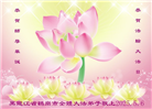 黑龙江大法弟子庆祝世界法轮大法日(21条)