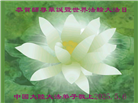 大陆大法弟子庆祝世界法轮大法日(28条)
