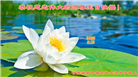 甘肃大法弟子庆祝世界法轮大法日(19条)