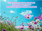 西欧七国大法弟子庆祝世界法轮大法日
