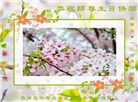 云南大法弟子庆祝世界法轮大法日(19条)