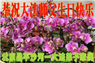 北京大法弟子庆祝世界法轮大法日(18条)