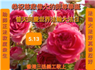 台湾、香港大法弟子庆祝世界法轮大法日
