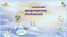 沈阳大法弟子庆祝世界法轮大法日(23条)