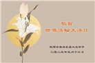 陕西大法弟子庆祝世界法轮大法日(20条)