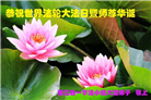 浙江大法弟子庆祝世界法轮大法日(22条)