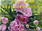成都大法弟子庆祝世界法轮大法日(19条)