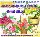 哈尔滨大法弟子庆祝世界法轮大法日(22条)