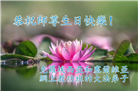 48国家大法弟子同庆世界法轮大法日