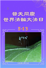 江西大法弟子庆祝世界法轮大法日(20条)
