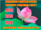 山东大法弟子庆祝世界法轮大法日(19条)