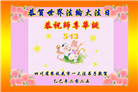 四川大法弟子庆祝世界法轮大法日(22条)
