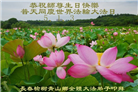 长春大法弟子庆祝世界法轮大法日(22条)
